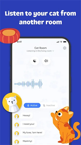 screen
