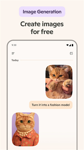 screen