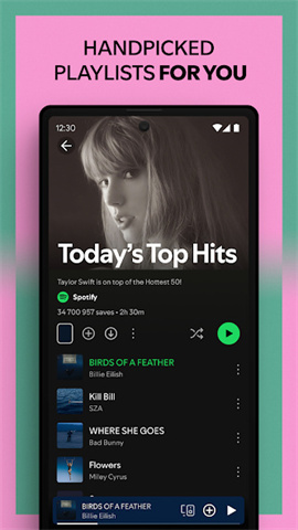 screen